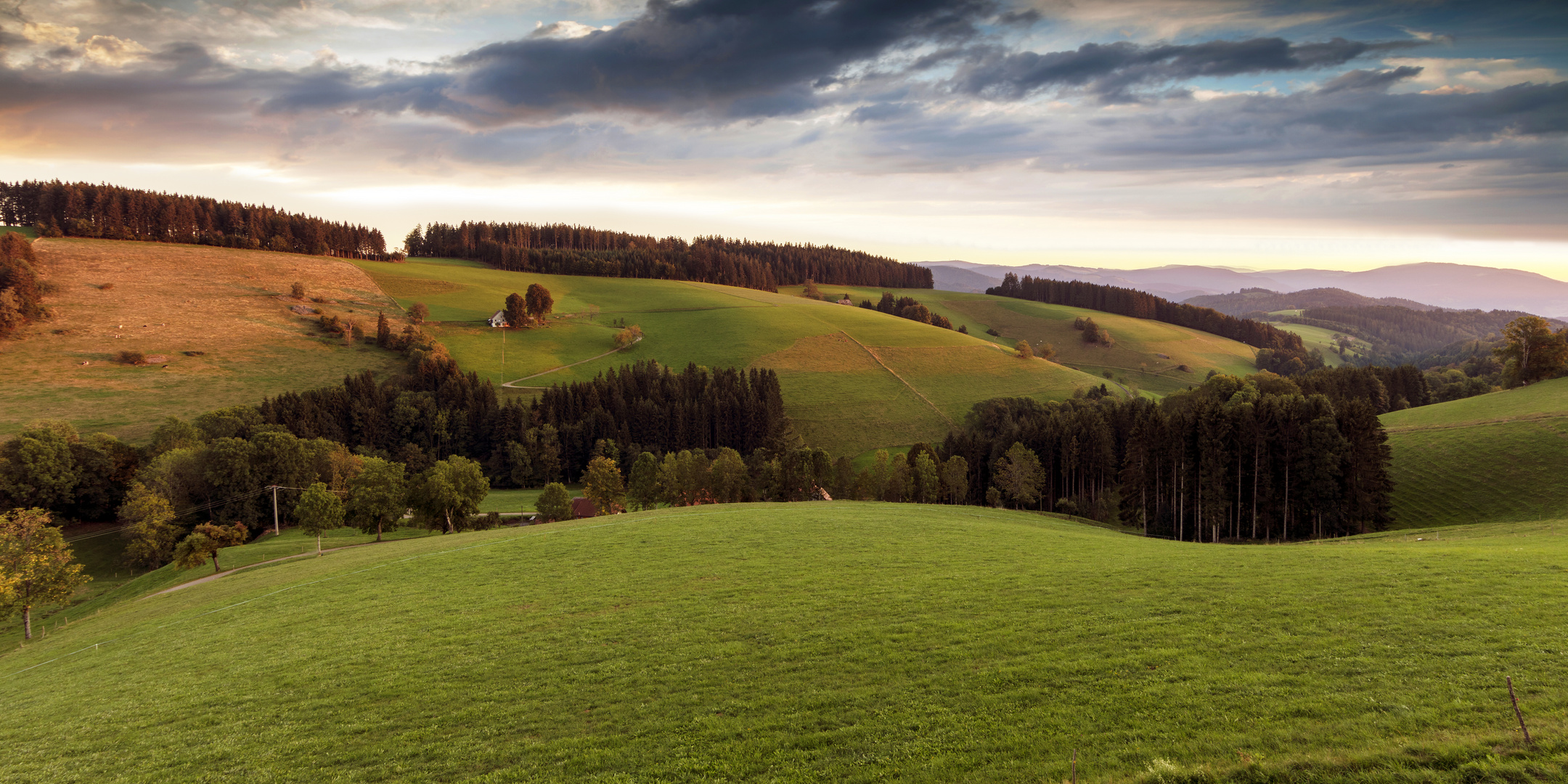 Landschaft bei St Märgen