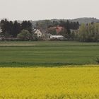 Landschaft bei Steinheim (2018_04_23_EOS 6D Mark II_1756_ji)