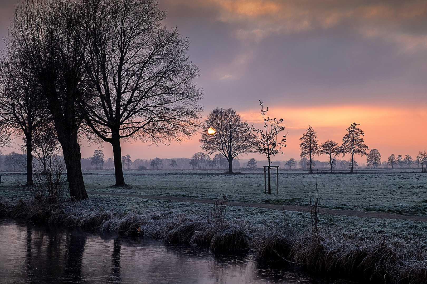 Landschaft bei Steinhude