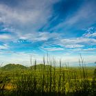 Landschaft bei Surat Thani City