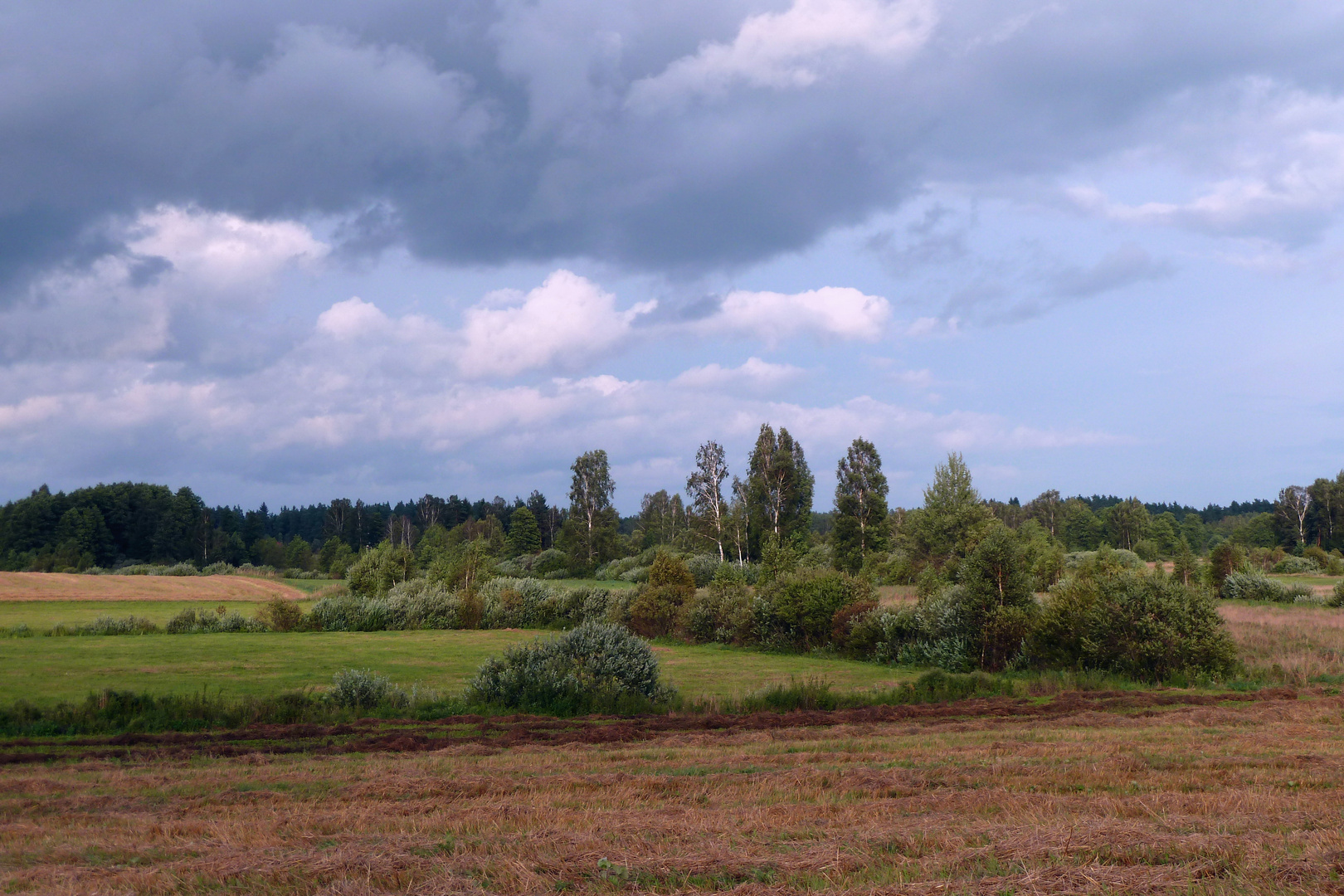 landschaft bei suwalki, polen 