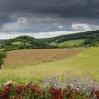 Landschaft bei Toulouse (1 von 1)