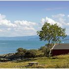 Landschaft bei Trondheim (Norwegen)