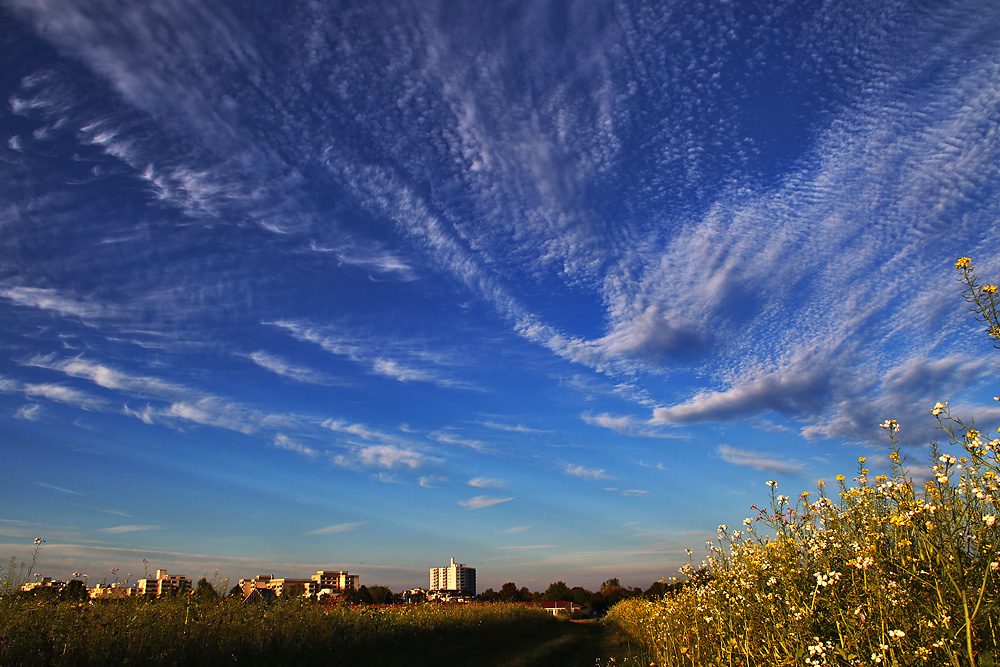 Landschaft bei uns um die Ecke