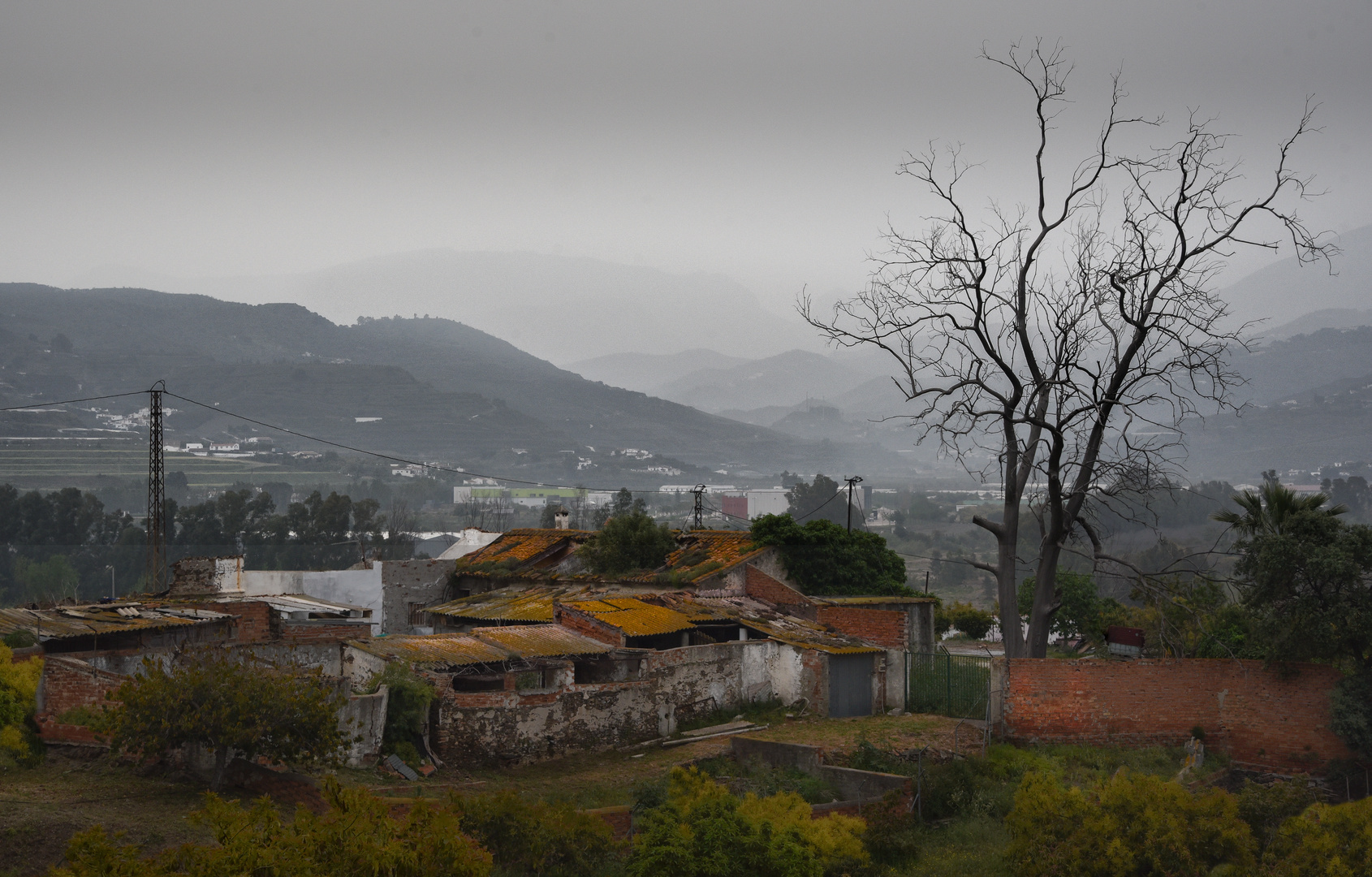 Landschaft bei Vélez-Malaga 