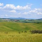 Landschaft bei Volterra