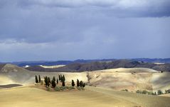 Landschaft bei Volterra