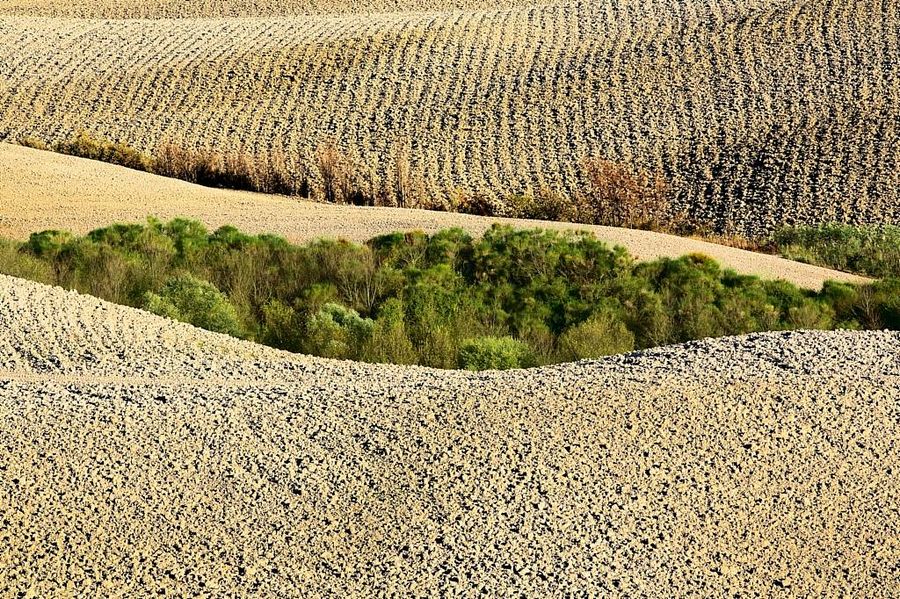 Landschaft bei Volterra