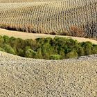 Landschaft bei Volterra