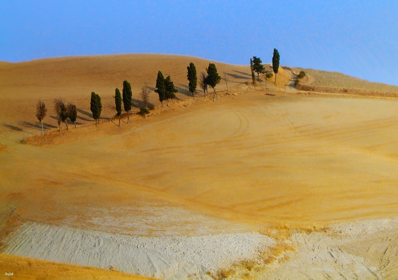 Landschaft bei Volterra