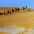 Landschaft bei Volterra