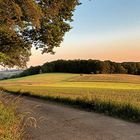 Landschaft bei Waldbröl-Helzen