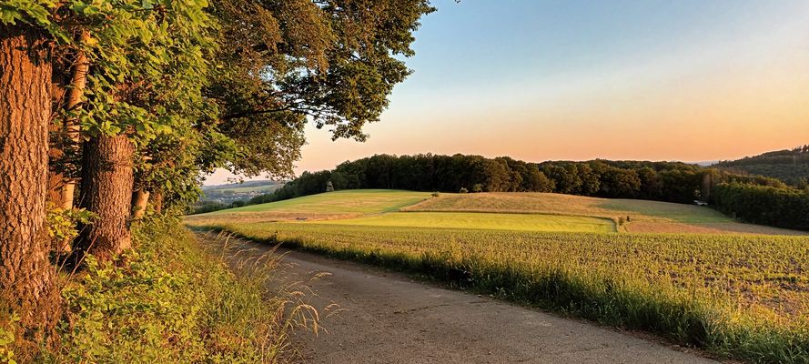 Landschaft bei Waldbröl-Helzen