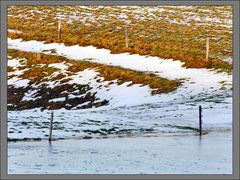 Landschaft bei Wehlen