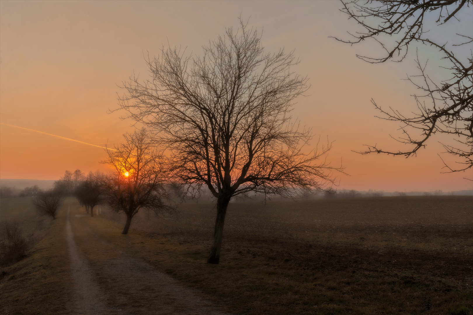 Landschaft bei Woldegk (M-V)