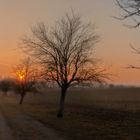 Landschaft bei Woldegk (M-V)