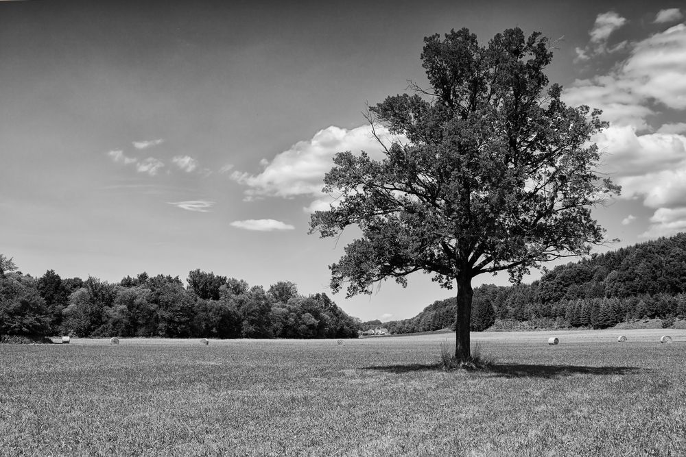 Landschaft bei Wolfau