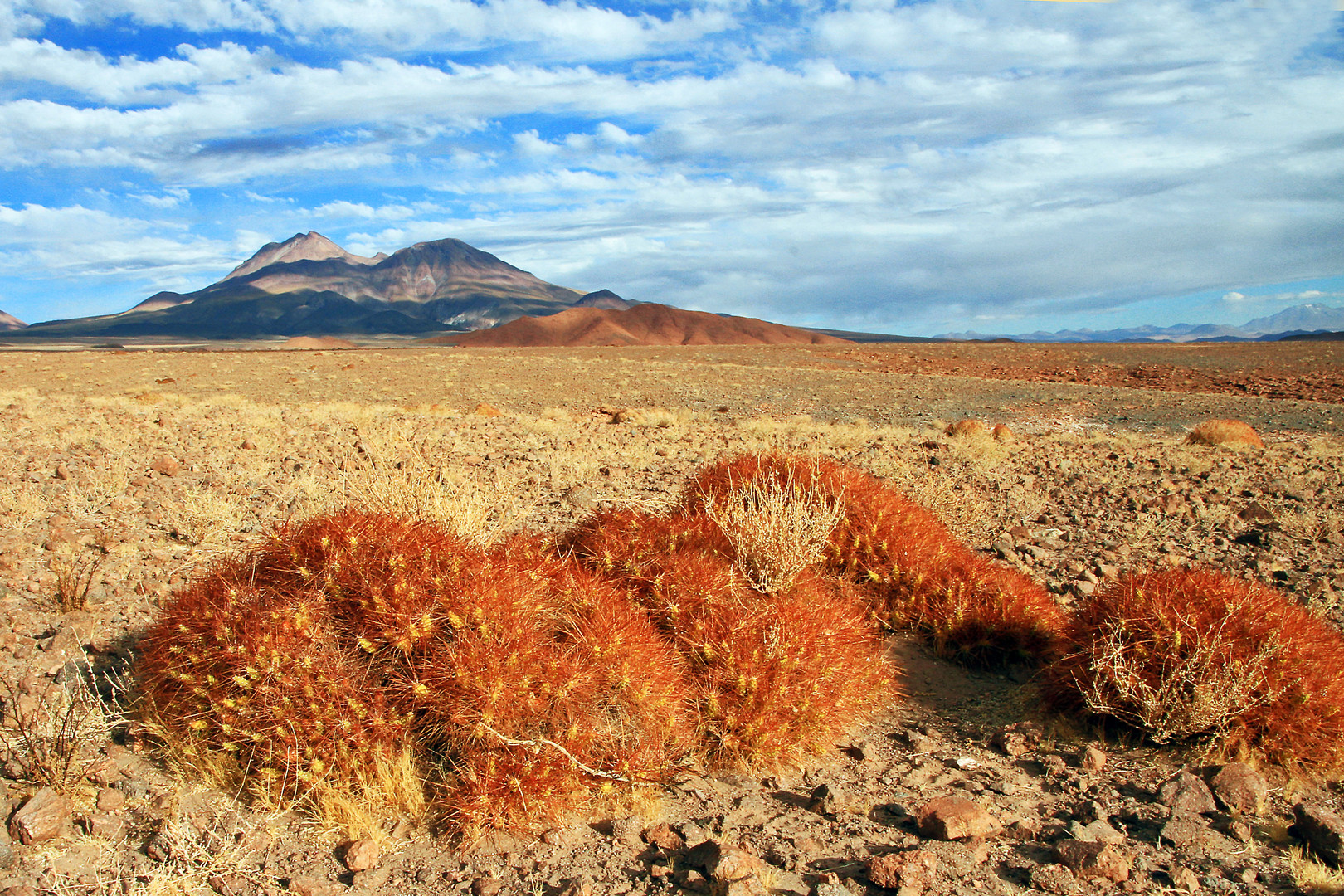 Landschaft beim Dorf Talabre, Region San Pedro de Atacama, Chile