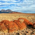 Landschaft beim Dorf Talabre, Region San Pedro de Atacama, Chile