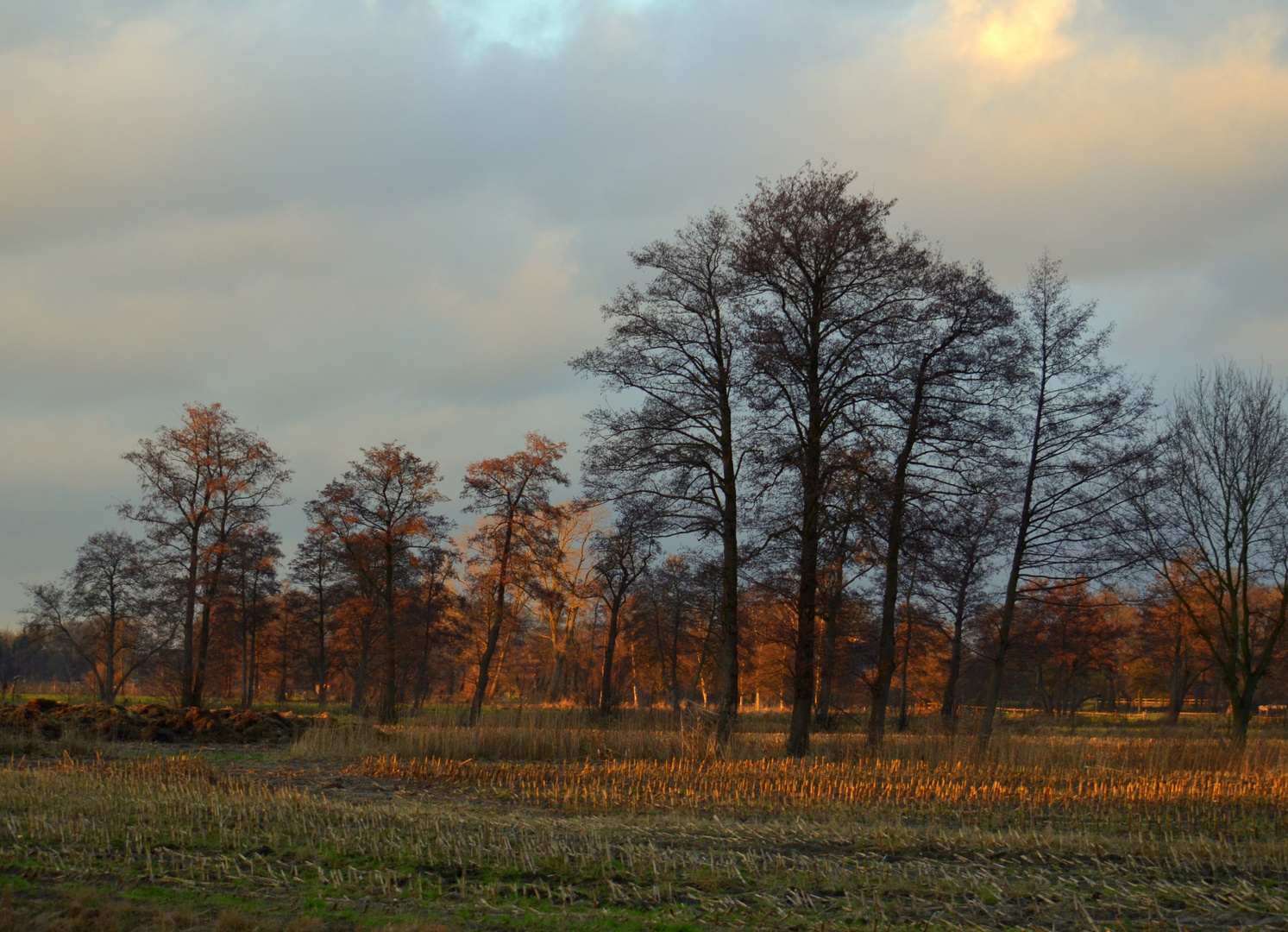 Landschaft beim Truperdeich an der Wümme