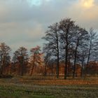 Landschaft beim Truperdeich an der Wümme