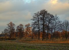 Landschaft beim Truperdeich an der Wümme