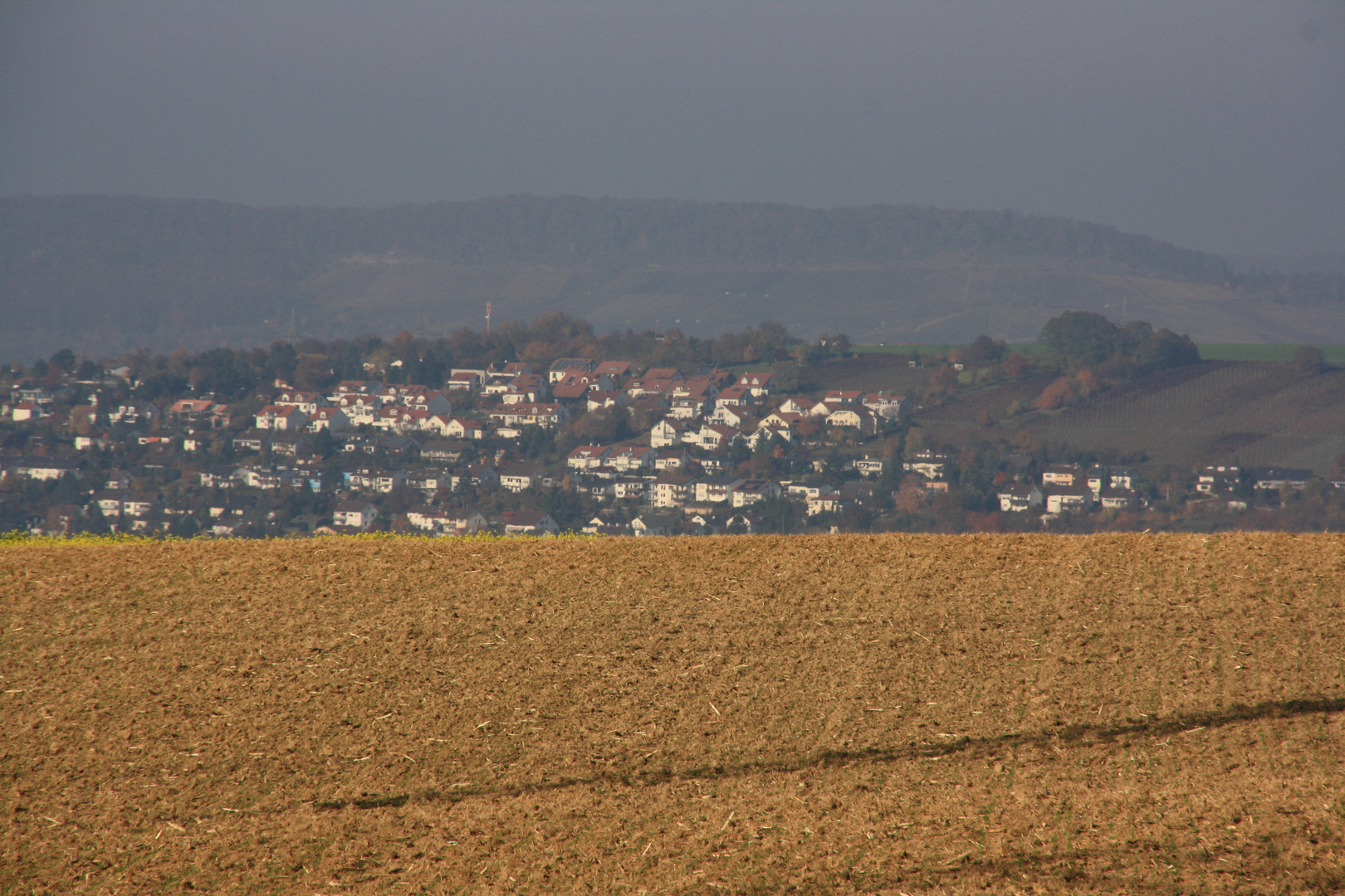 Landschaft