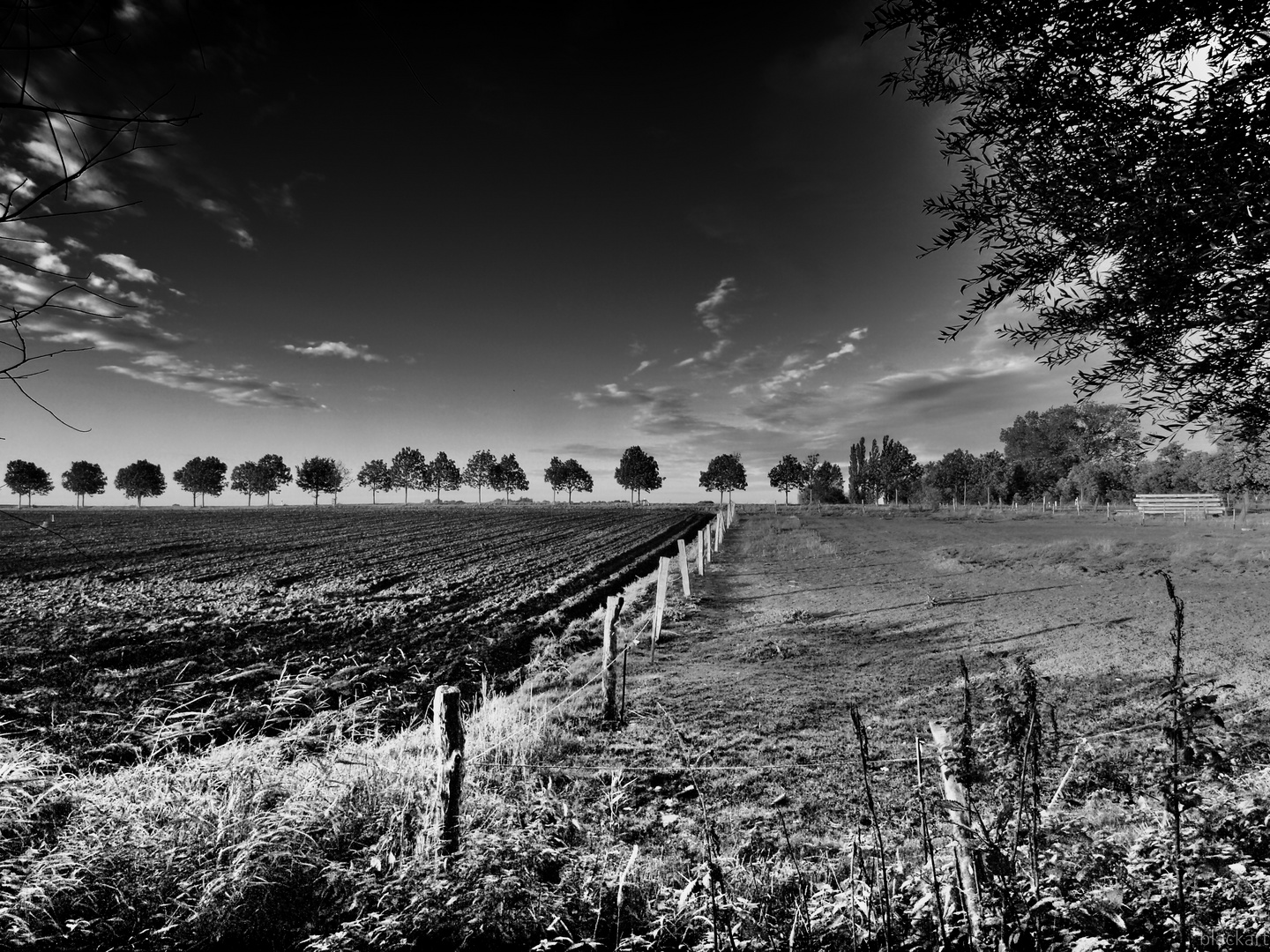 landschaft .