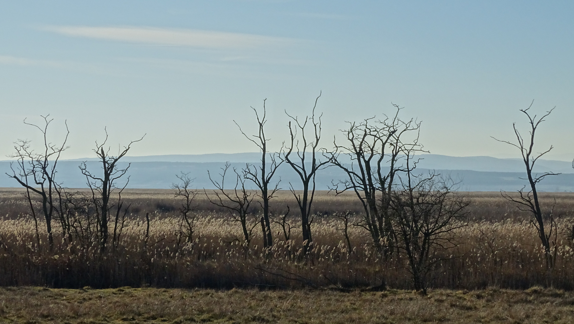 Landschaft