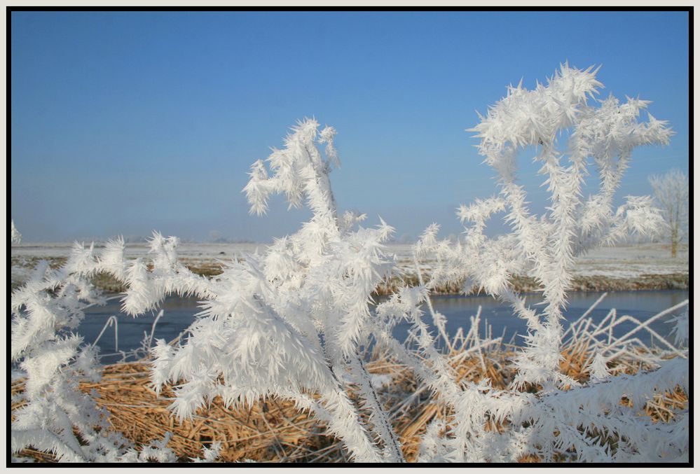 Landschaft bizarr 2