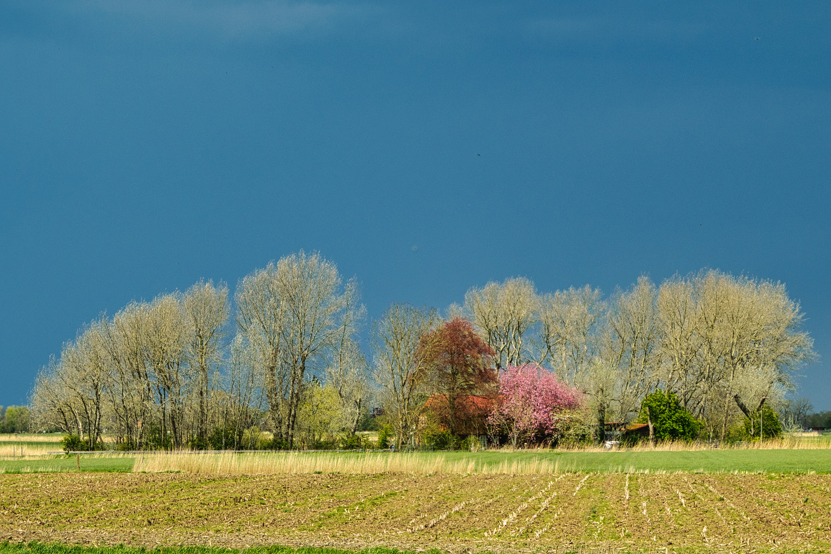 Landschaft Butjadingen