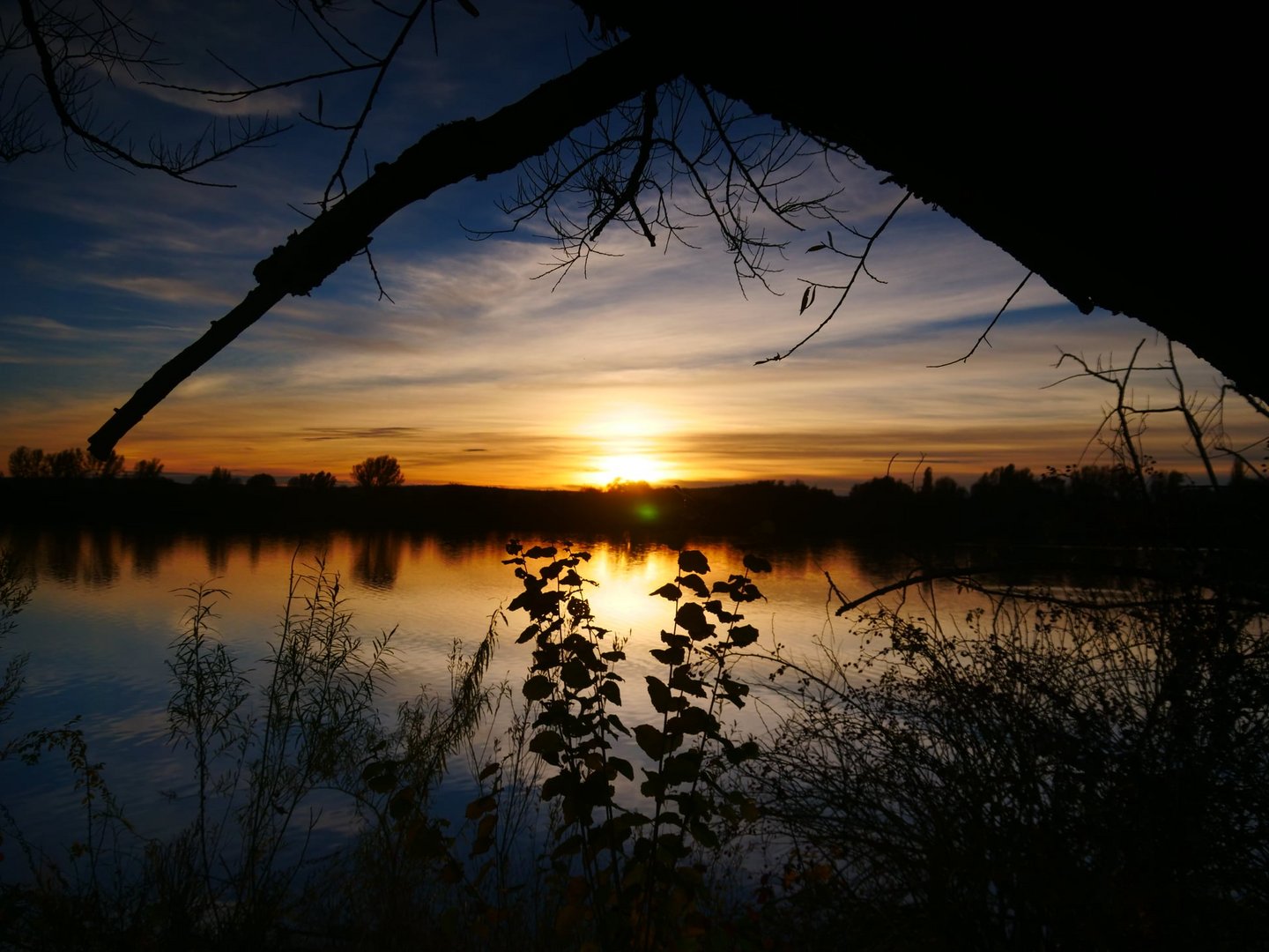 Landschaft