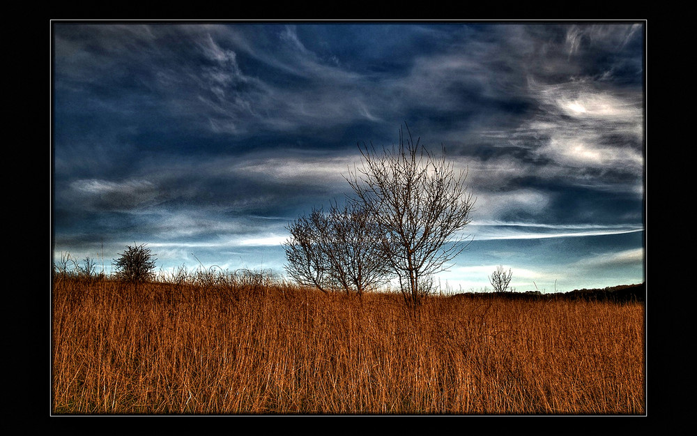 Landschaft