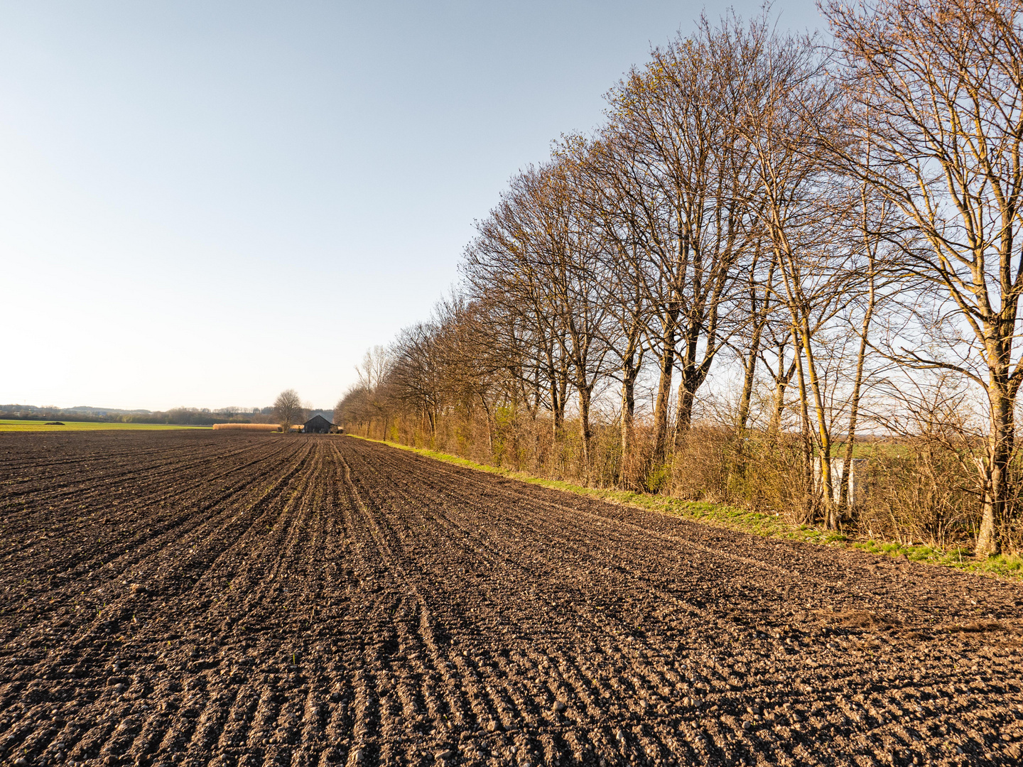 Landschaft...