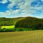 Landschaft...