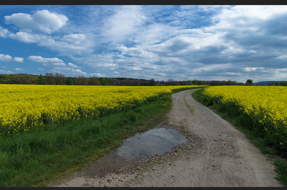 Landschaft