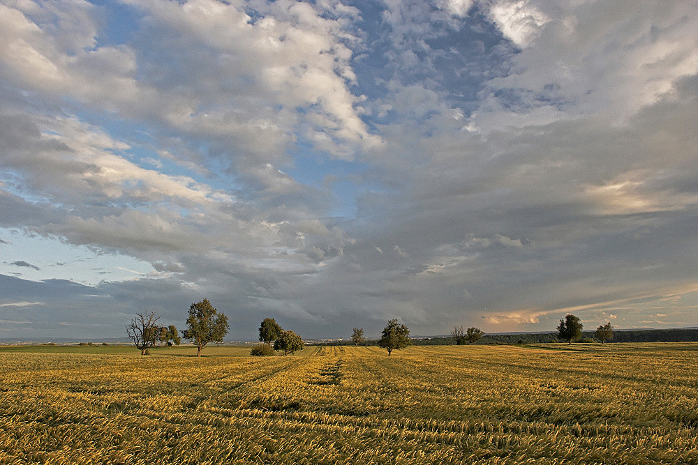 Landschaft