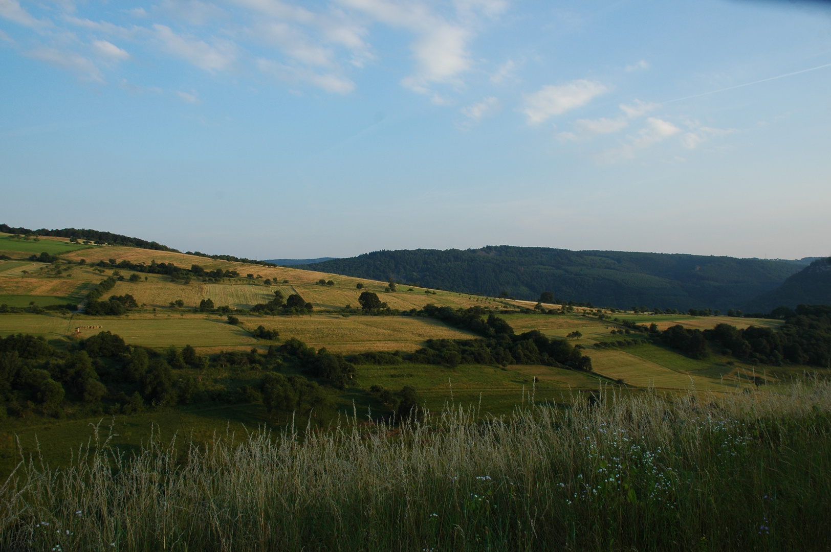 Landschaft