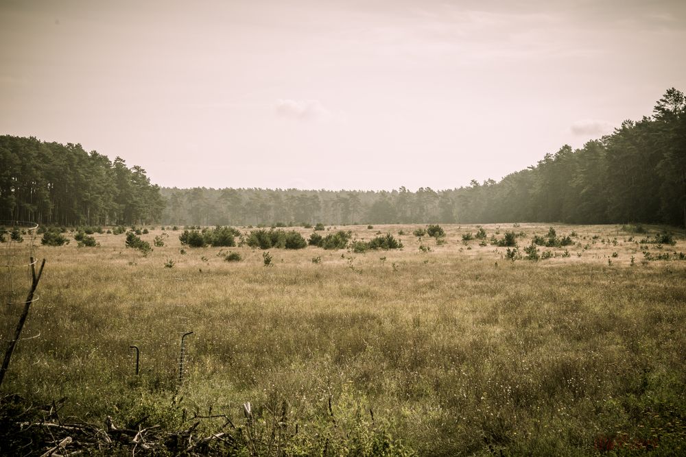 Landschaft