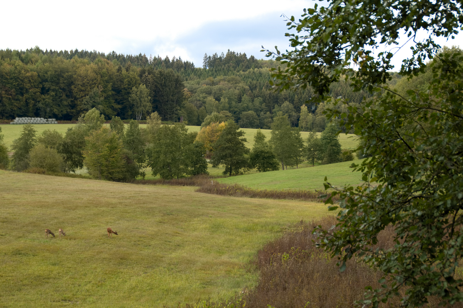 Landschaft