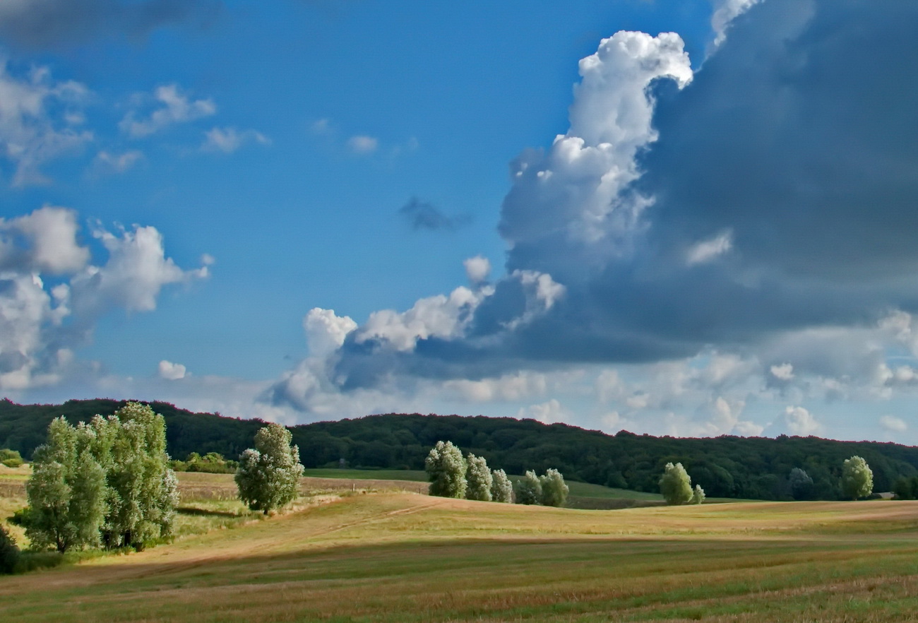 Landschaft