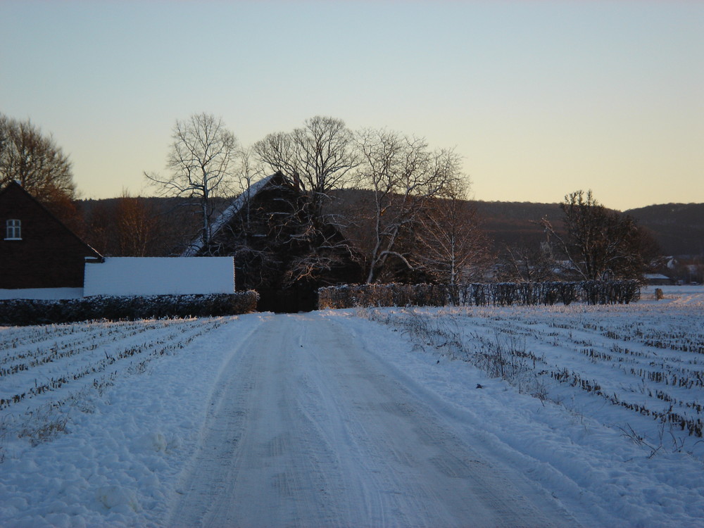 Landschaft