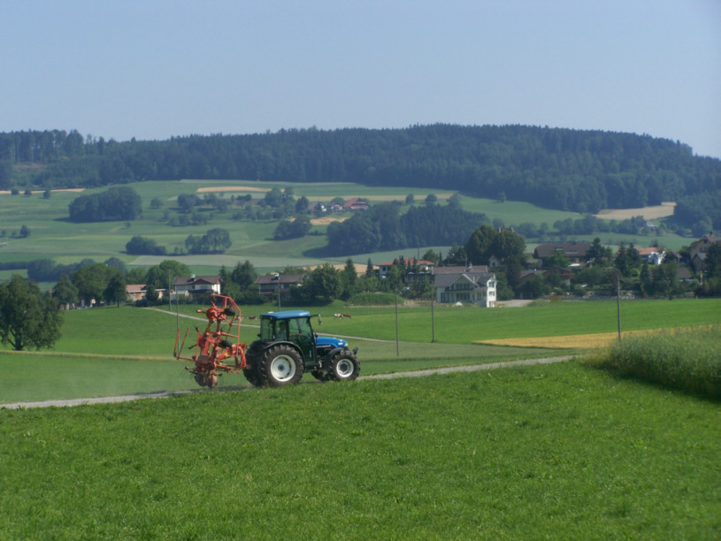 Landschaft