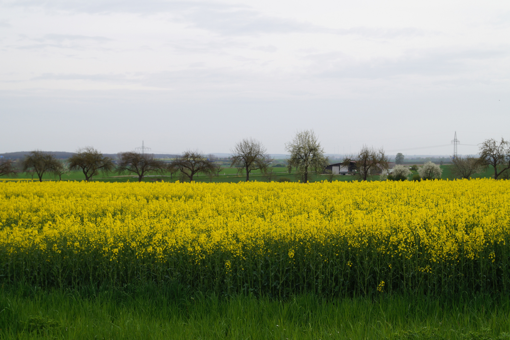 Landschaft