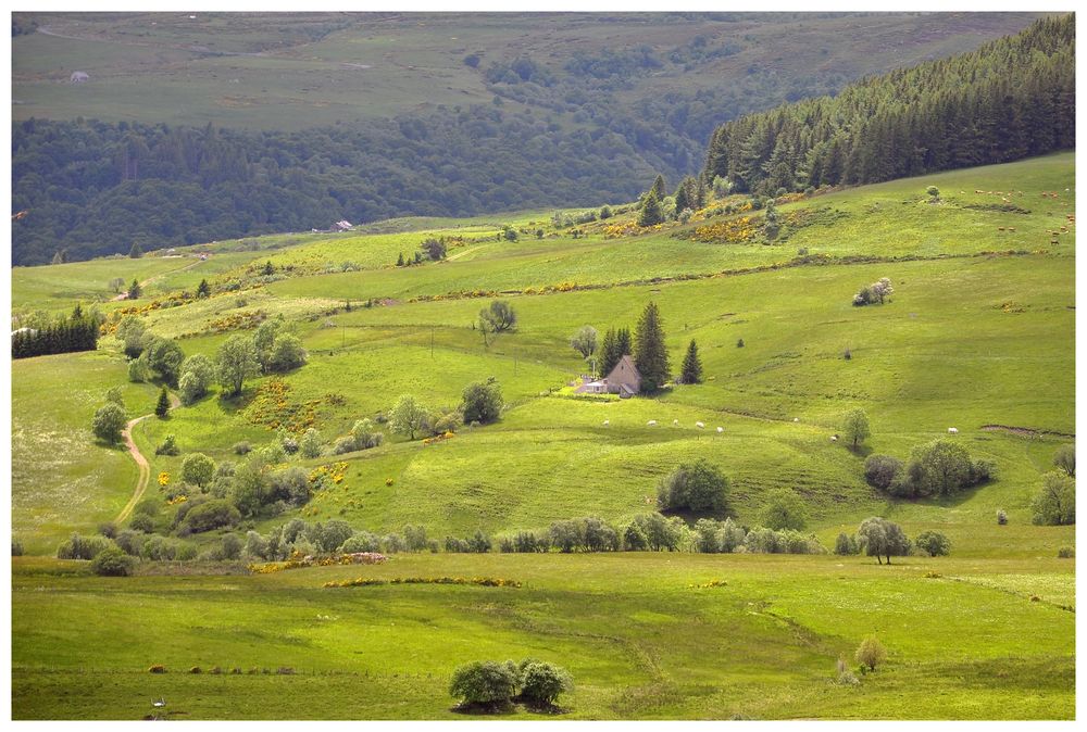 Landschaft der Auvergne