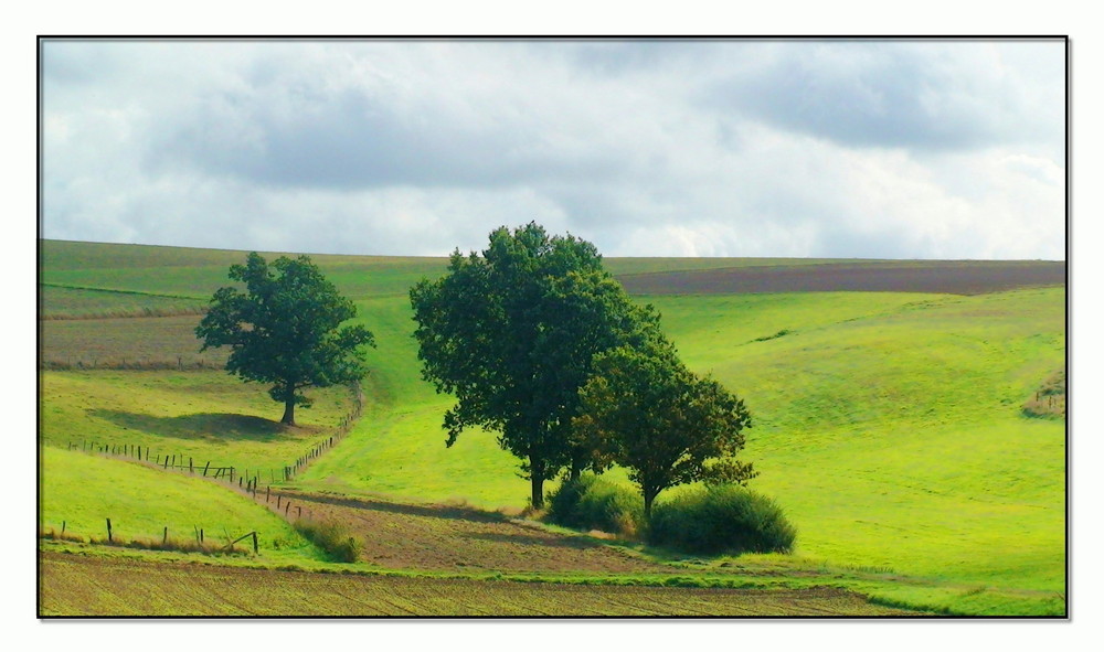 Landschaft der Schwalm