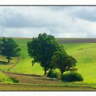 Landschaft der Schwalm