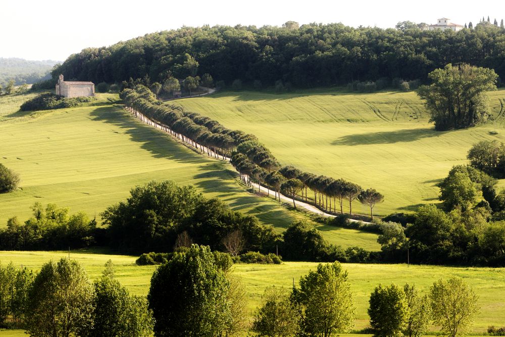 Landschaft der Toskana