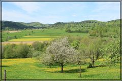 Landschaft der Vogesen / Lembach / Wissembourg