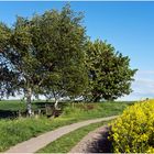 Landschaft des Höhlen und Schluchtensteigs bei Kell